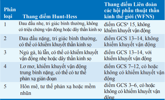 Thang điểm phân loại xuất huyết khoang dưới nhện