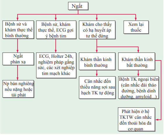 Tiếp cận bệnh nhân ngất