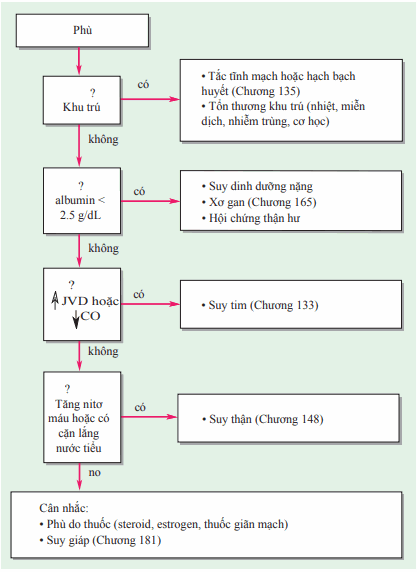 Chẩn đoán phù