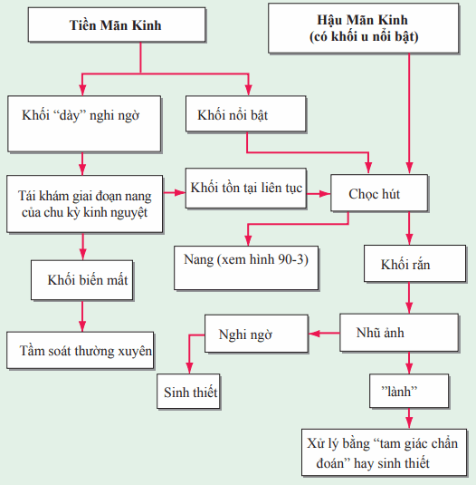 Sờ khối u vú