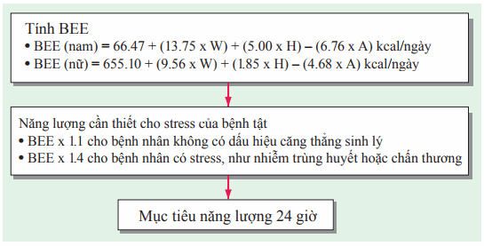 Tiêu hoa năng lượng