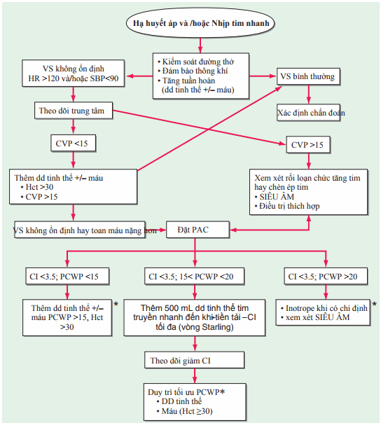 Trình tự hồi sức trên bệnh nhân sốc