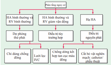 Cấp cứu tắc mạch phổi