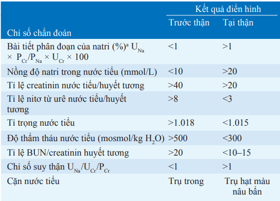 Các chỉ số suy thận cấp