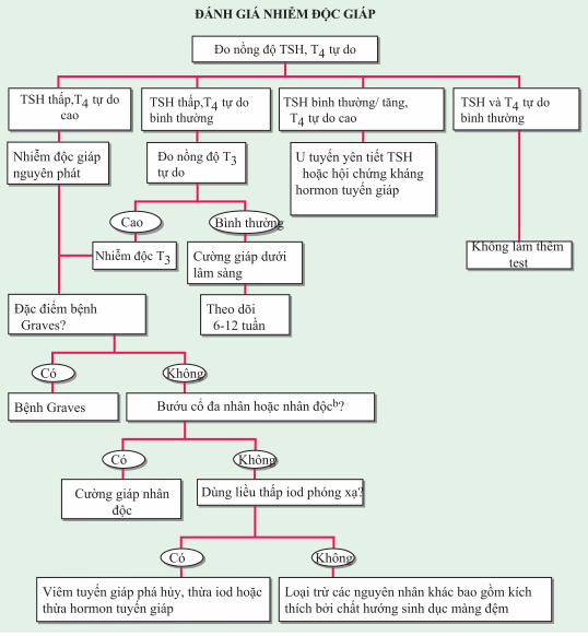 Đánh giá nhiễm độc giáp