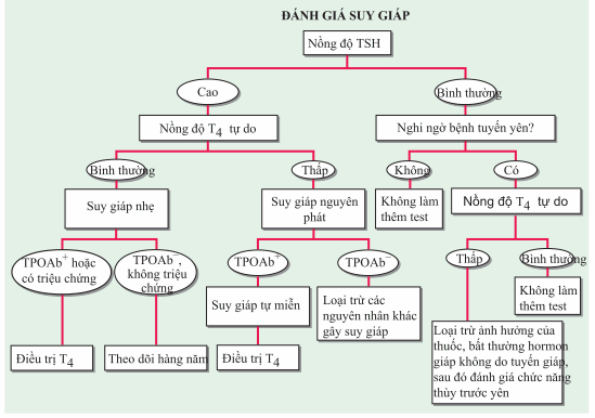 Đánh giá tuyến giáp