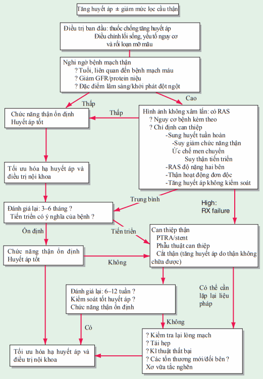 Điều trị hẹp động mạch thận