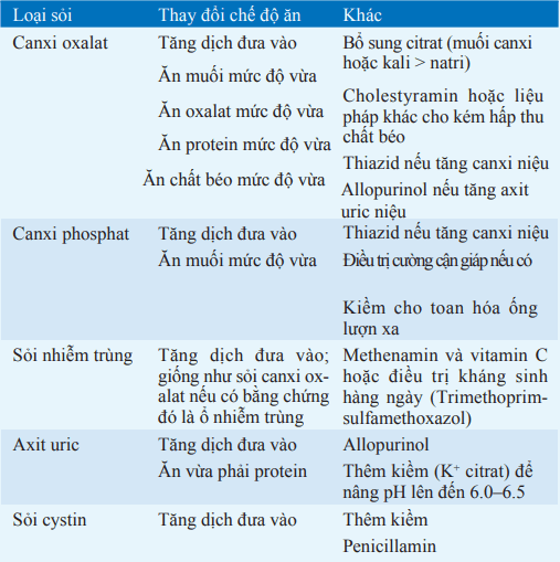 Điều trị bệnh sỏi thận