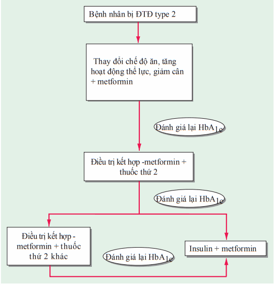 Kiểm soát đường huyết đái tháo đường tuýp 2