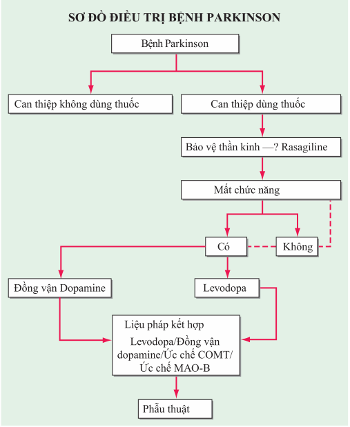 Lựa chọn điều trị bệnh Parkinson