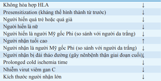 Yếu tố ảnh hưởng đến mảnh ghép thận