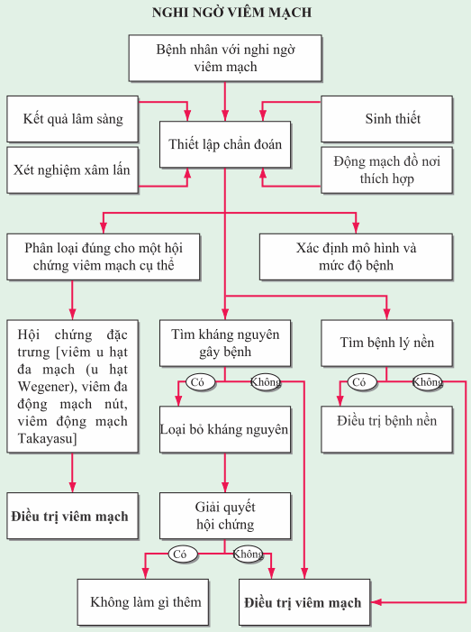 Chẩn đoán viêm mạch