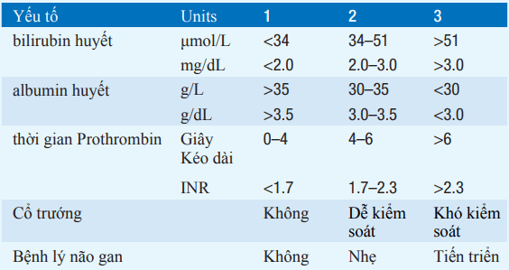 Phân loại xơ gan