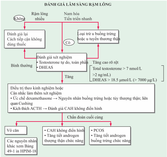 Đánh giá nguyên nhân gây rậm lông