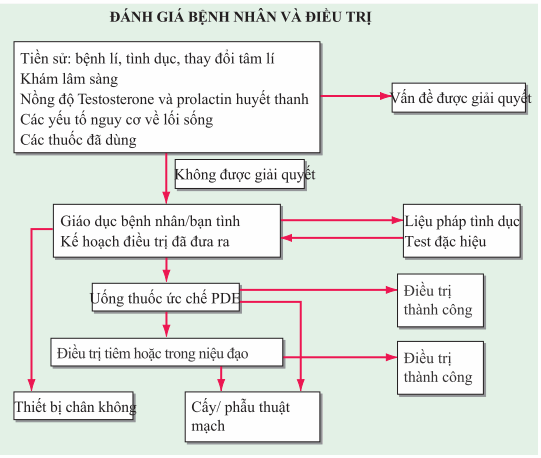 Sơ đồ đánh giá điều trị rối loạn cương dương