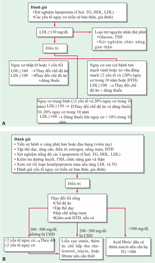 Đánh giá và điều trị tăng cholesterol máu