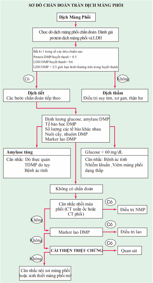 Chẩn đoán tràn dịch màng phổi