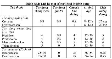 Dược động học