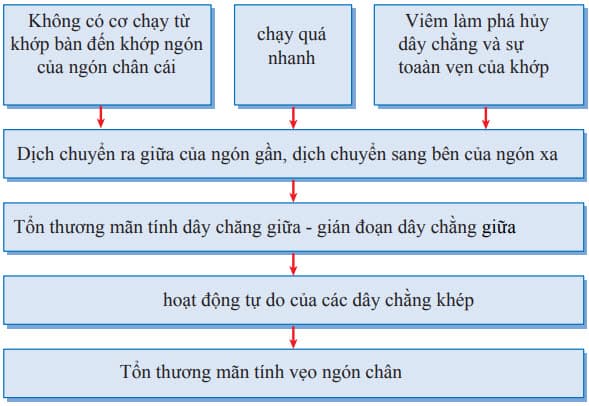 Các yếu tố