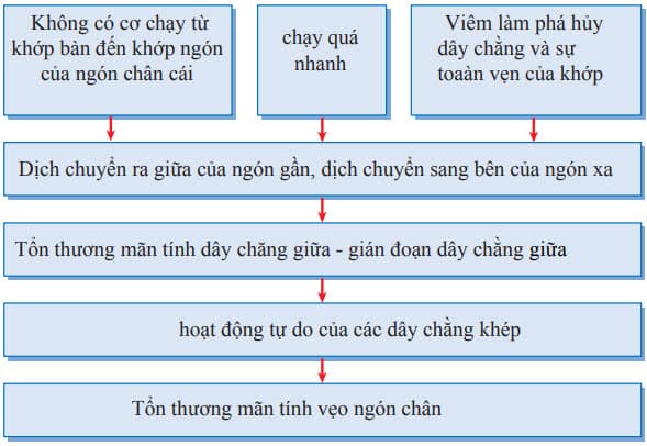 Các yếu tố