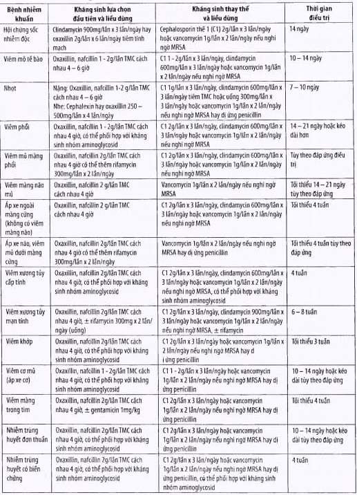 Điều trị kháng sinh trong nhiễm trùng S.aureus