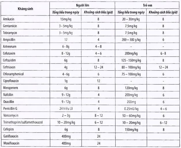 Liều kháng sinh khi chức năng han thận bình thường