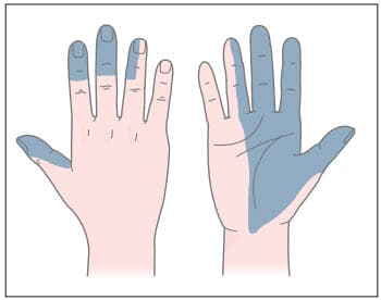 Vùng chi phối cảm giác của thần kinh giữa
