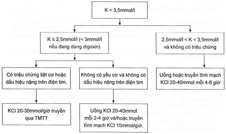 Phác đồ bù kali máu