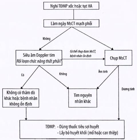 Phác đồ chẩn đoán và điều trị nhồi máu phổi