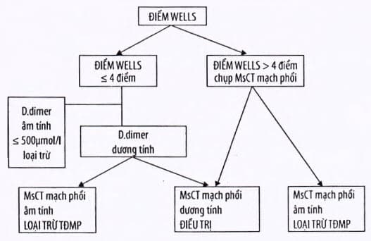 Phác đồ chẩn đoán dựa vào điểm Wells và D dimer