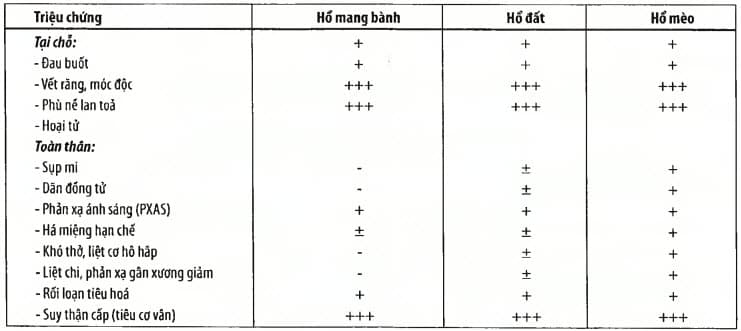 Các triệu chứng khi bị rắn cắn