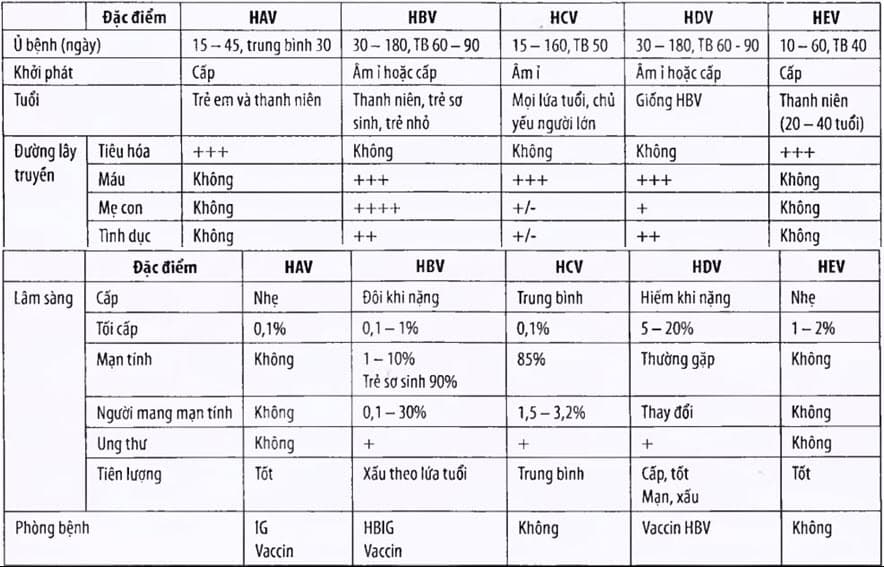 Đặc điểm lâm sàng viêm gan