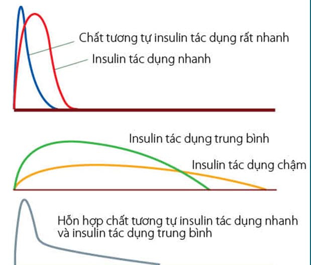 Phân loại insulin