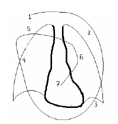 Trình tự đọc phim phổi.