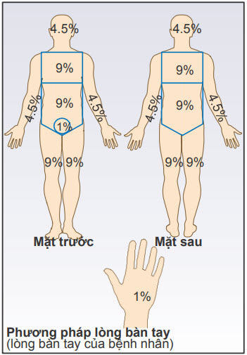 Quy tắc số 9