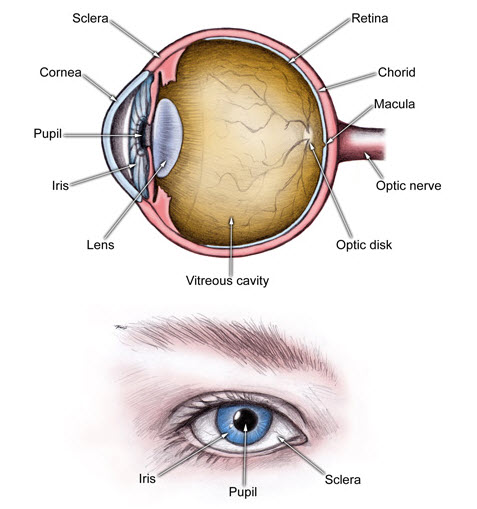 Cơn glôcôm cấp diễn