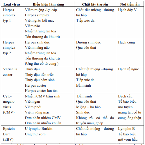 Hình ảnh lâm sàng của nhiễm virus herpes