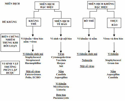 Tương quan giữa thiếu hụt miễn dịch với các loại vi sinh vật gây bệnh