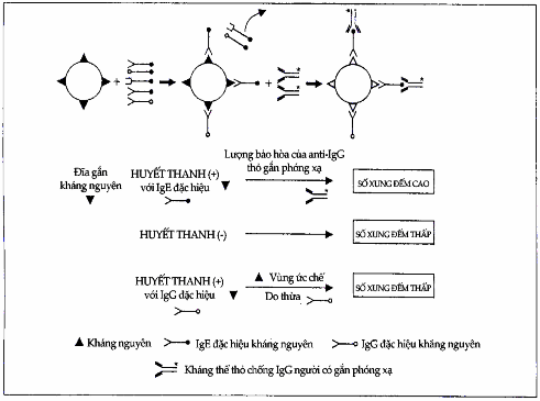 Nguyên lý của phép đo kháng thể IgE đặc hiệu dị nguyên