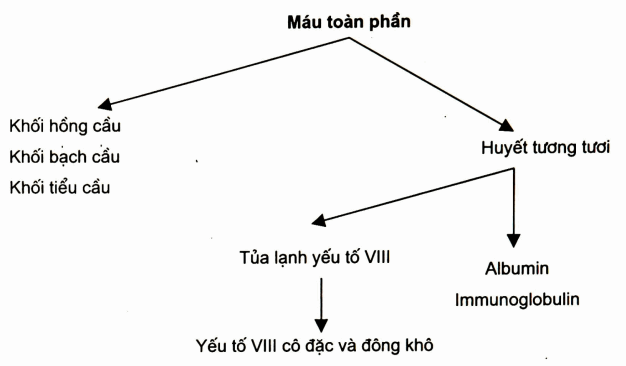 Các chế phẩm máu chính