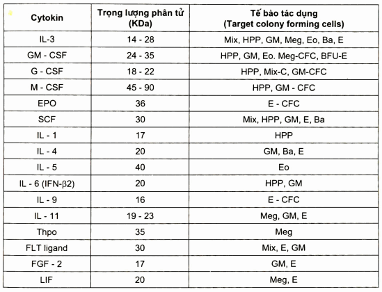 Các cytokin kích thích sinh máu
