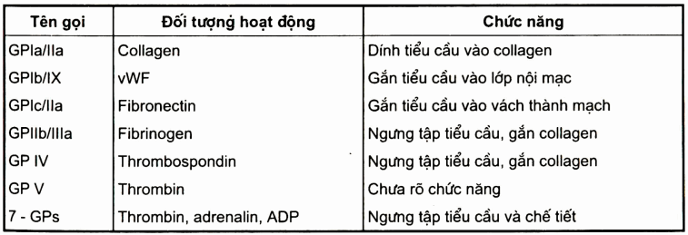 Các glycoprotein quan trọng