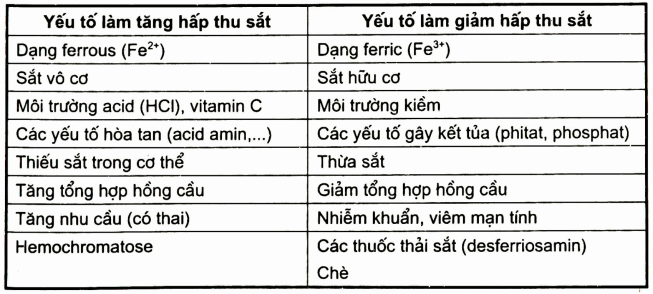 Các yếu tố ảnh hưởng đến sự hấp thu sắt trong cơ thể