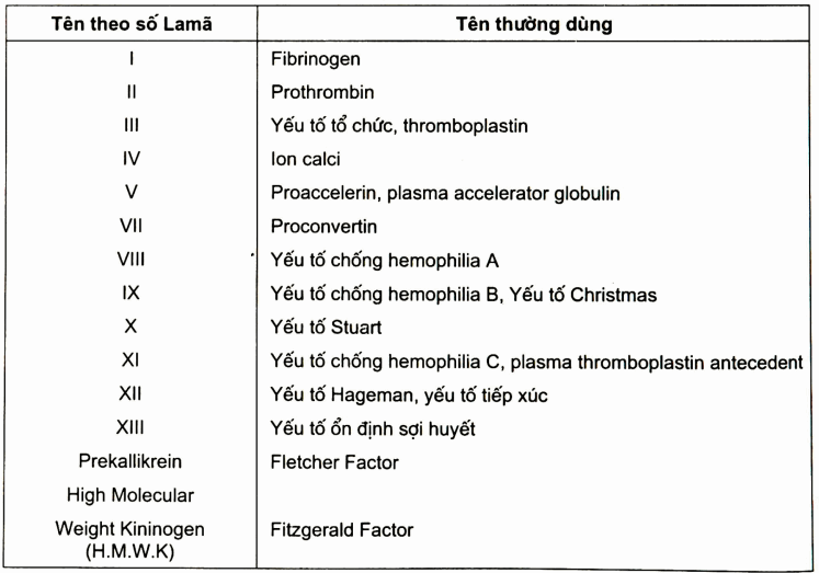 Các yếu tố đông máu