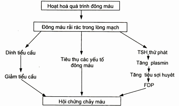 Cơ chế bệnh sinh của hội chứng chảy máu trong đông máu rải rác