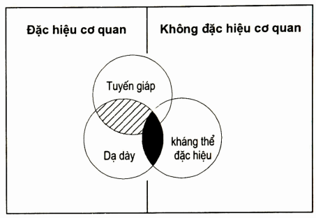 Đặc điểm bao trùm của kháng thể tự miễn giữa hai loại bệnh: đặc hiệu cơ quan và không đặc hiệu.