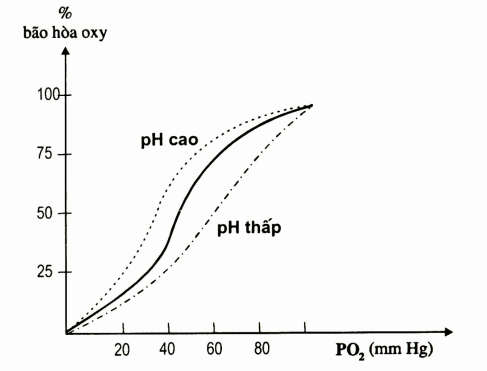 Đồ thị biểu diễn độ bão hòa oxy của Hb