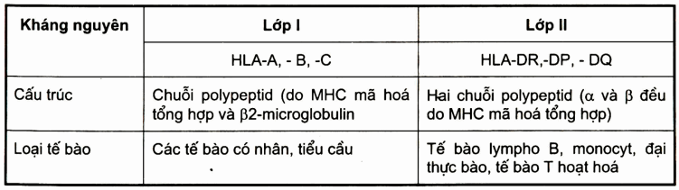 Hệ HLA