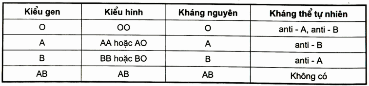 Hệ nhóm máu ABO