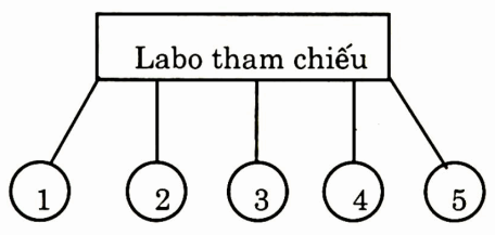 Labo tham chiếu truyền máu